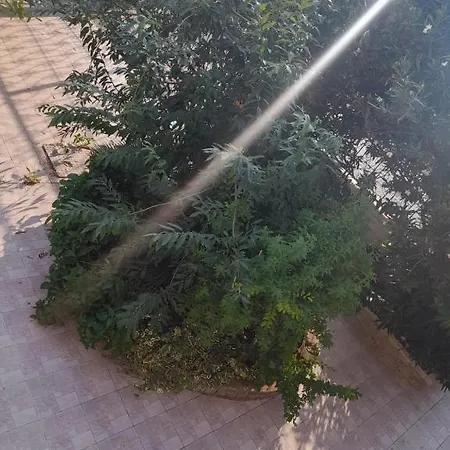 منزل ريفي Old House On The 1